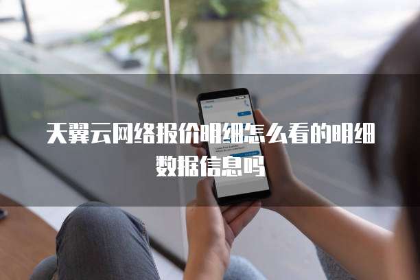 天翼云网络报价明细怎么看的明细数据信息吗