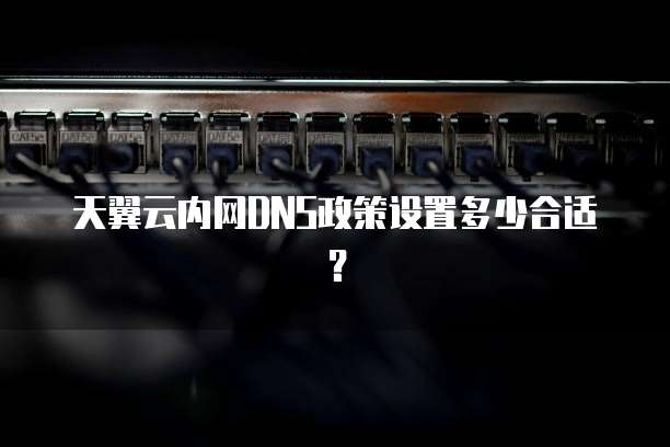 天翼云内网DNS政策设置多少合适?