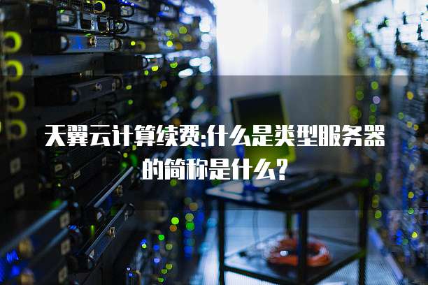 天翼云计算续费:什么是类型服务器的简称是什么?