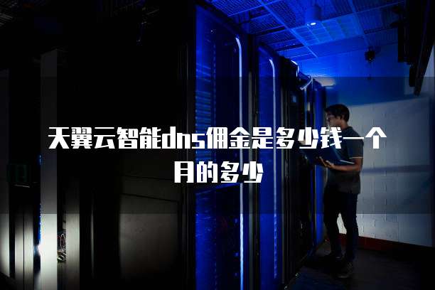 天翼云智能dns佣金是多少钱一个月的多少