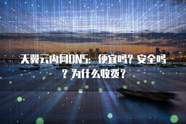 天翼云内网DNS：便宜吗？安全吗？为什么收费？