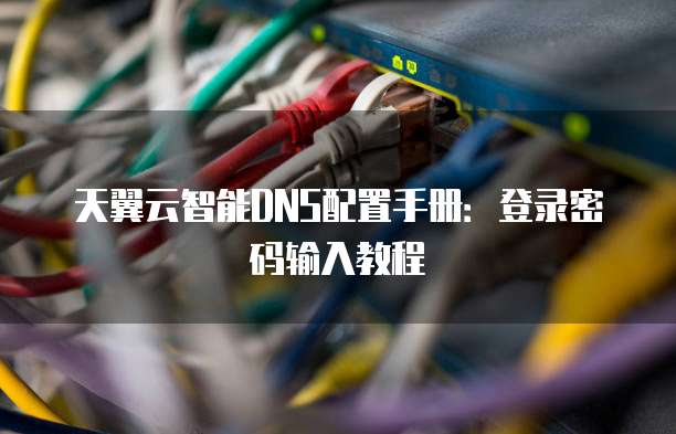 天翼云智能DNS配置手册：登录密码输入教程