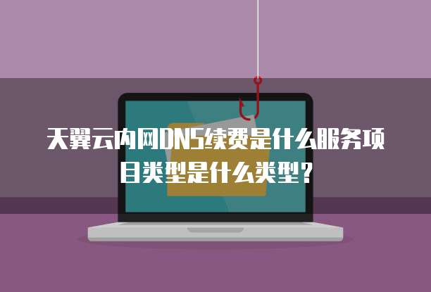 天翼云内网DNS续费是什么服务项目类型是什么类型?