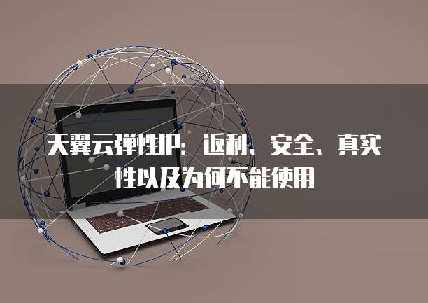 天翼云弹性IP:返利、安全、真实性以及为何不能使用