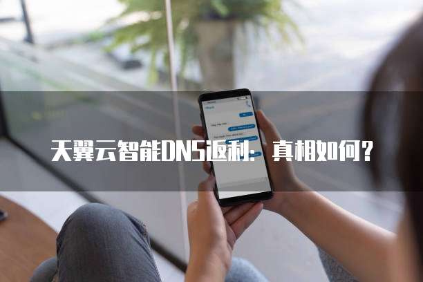 天翼云智能DNS返利:真相如何?