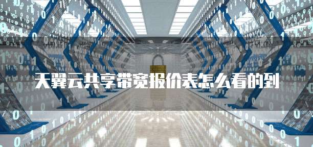 天翼云共享带宽报价表怎么看的到
