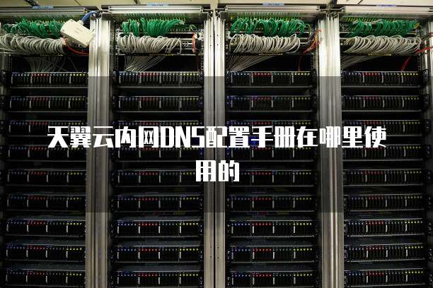 天翼云内网DNS配置手册在哪里使用的