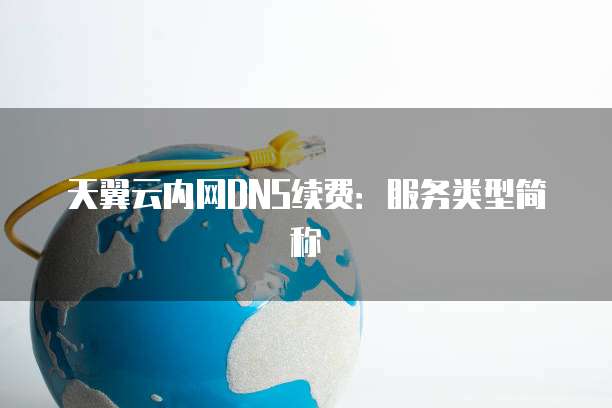 天翼云内网DNS续费:服务类型简称