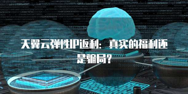 天翼云弹性IP返利:真实的福利还是骗局?