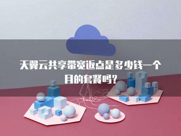 天翼云共享带宽返点是多少钱一个月的套餐吗?