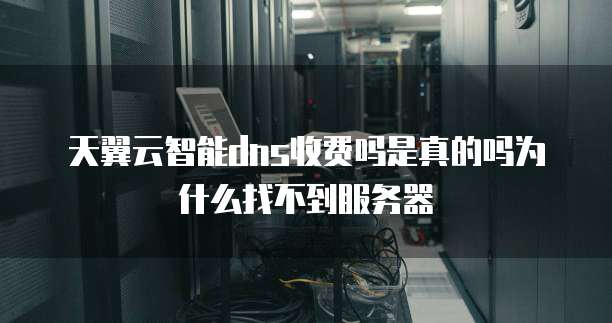 天翼云智能dns收费吗是真的吗为什么找不到服务器