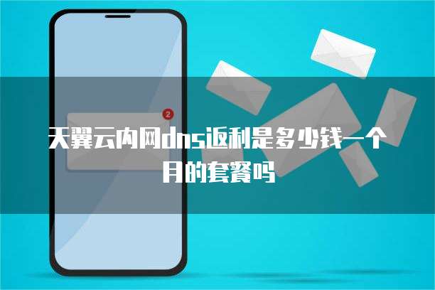 天翼云内网dns返利是多少钱一个月的套餐吗