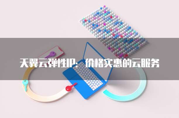 天翼云弹性IP：价格实惠的云服务