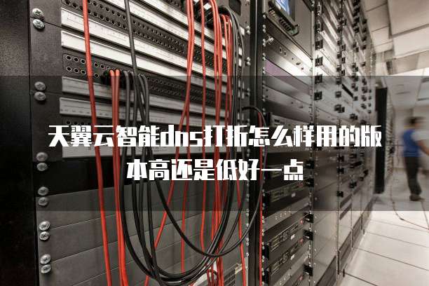天翼云智能dns打折怎么样用的版本高还是低好一点