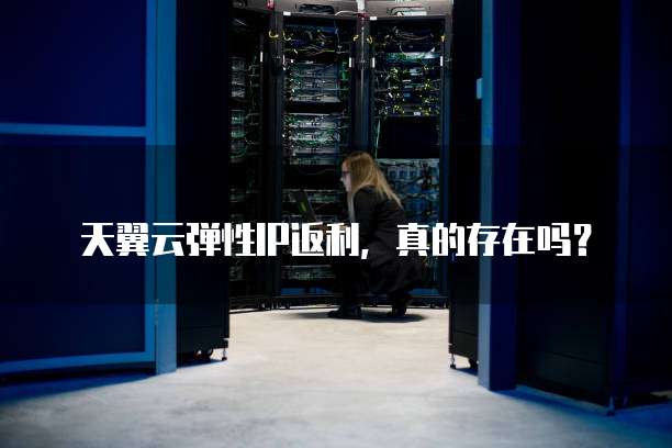 天翼云弹性IP返利,真的存在吗?