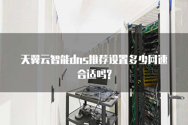 天翼云智能dns推荐设置多少网速合适吗?