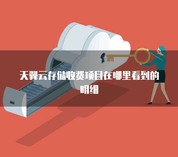 天翼云存储收费项目在哪里看到的明细