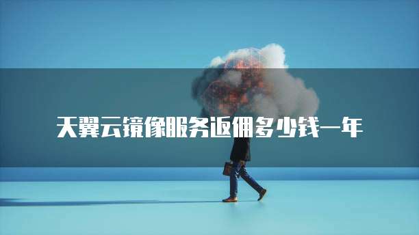 天翼云镜像服务返佣多少钱一年