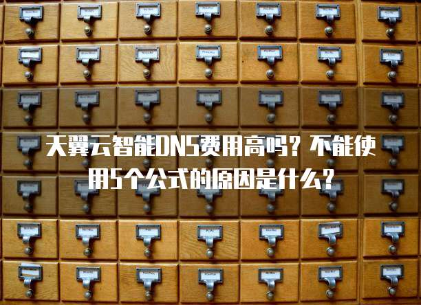 天翼云智能DNS费用高吗?不能使用5个公式的原因是什么?
