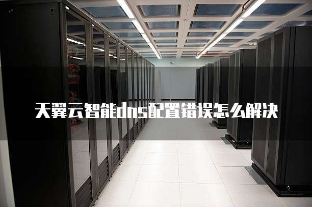 天翼云智能dns配置错误怎么解决