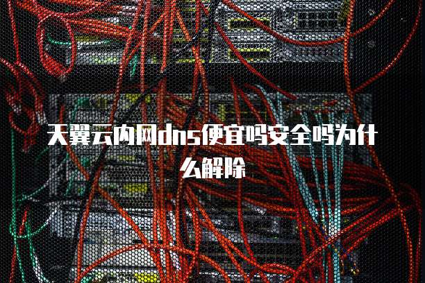 天翼云内网dns便宜吗安全吗为什么解除