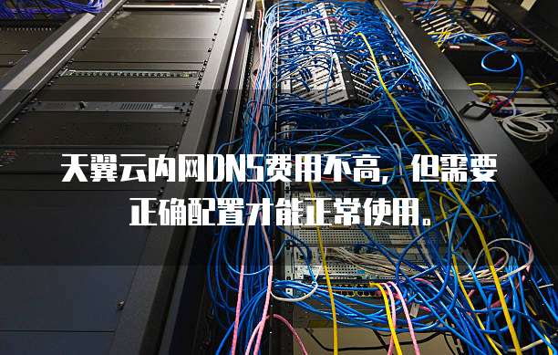 天翼云内网DNS费用不高,但需要正确配置才能正常使用。