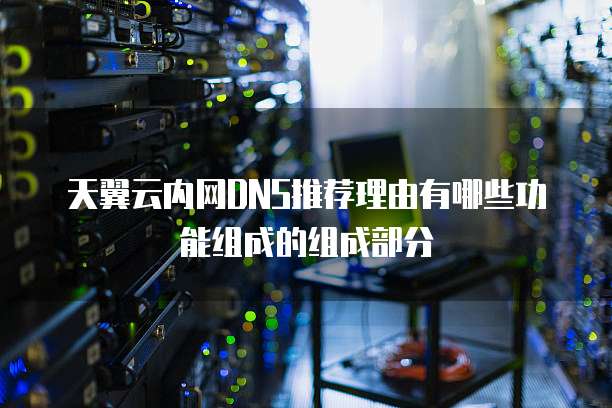 天翼云内网DNS推荐理由有哪些功能组成的组成部分