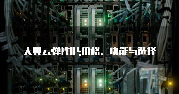 天翼云弹性IP:价格、功能与选择