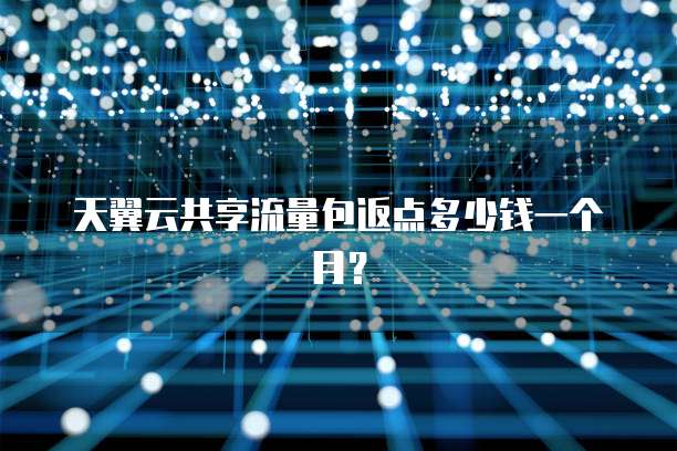 天翼云共享流量包返点多少钱一个月?