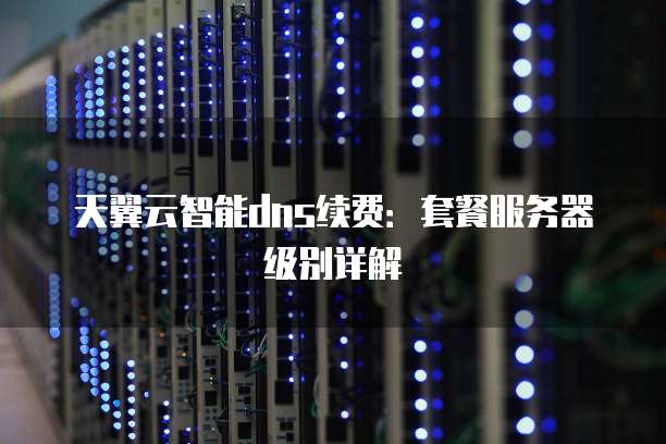 天翼云智能dns续费：套餐服务器级别详解