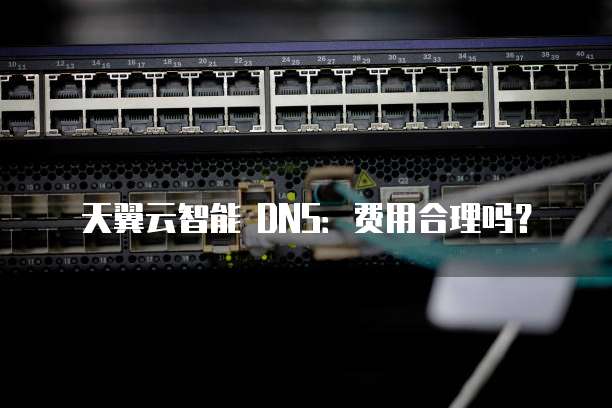 天翼云智能 DNS:费用合理吗?