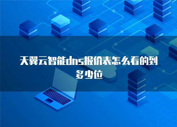 天翼云智能dns报价表怎么看的到多少位