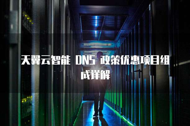 天翼云智能 DNS 政策优惠项目组成详解