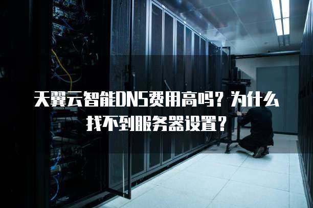 天翼云智能DNS费用高吗?为什么找不到服务器设置?