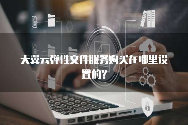 天翼云弹性文件服务购买在哪里设置的?
