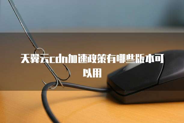 天翼云cdn加速政策有哪些版本可以用