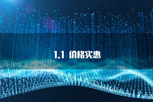 1.1 价格实惠