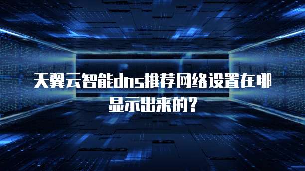 天翼云智能dns推荐网络设置在哪显示出来的?