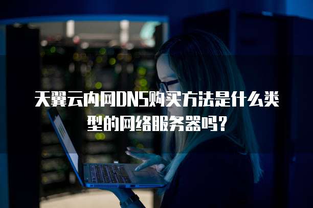 天翼云内网DNS购买方法是什么类型的网络服务器吗?
