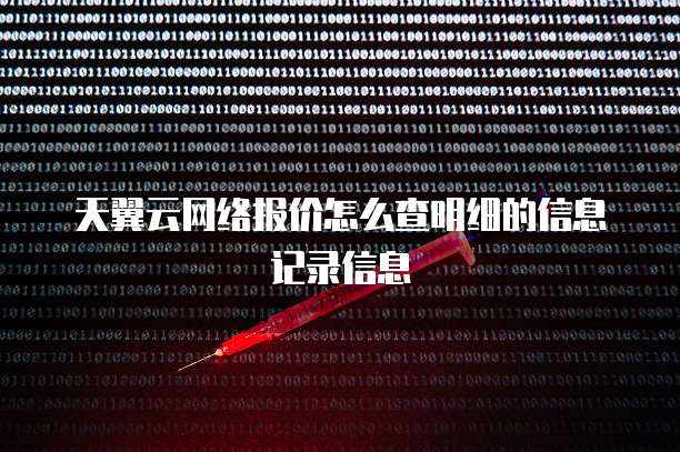 天翼云网络报价怎么查明细的信息记录信息