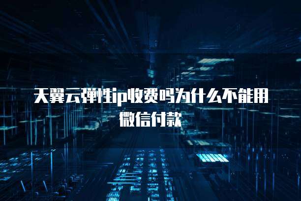 天翼云弹性ip收费吗为什么不能用微信付款