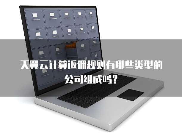 天翼云计算返佣规则有哪些类型的公司组成吗?