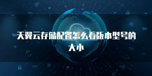 天翼云存储配置怎么看版本型号的大小
