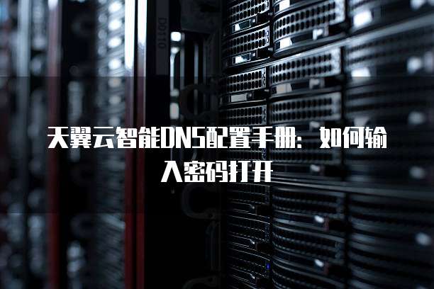 天翼云智能DNS配置手册:如何输入密码打开
