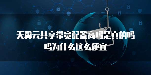 天翼云共享带宽配置高吗是真的吗吗为什么这么便宜