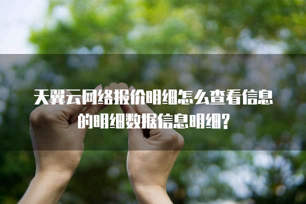 天翼云网络报价明细怎么查看信息的明细数据信息明细?