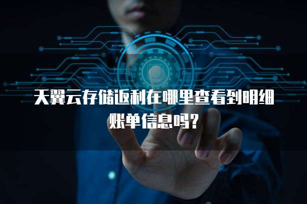 天翼云存储返利在哪里查看到明细账单信息吗?