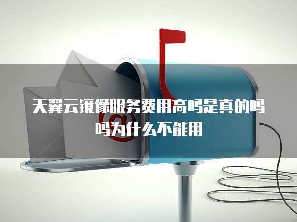天翼云镜像服务费用高吗是真的吗吗为什么不能用