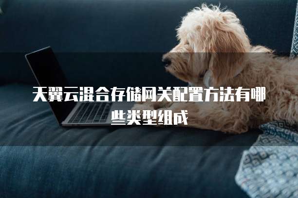天翼云混合存储网关配置方法有哪些类型组成