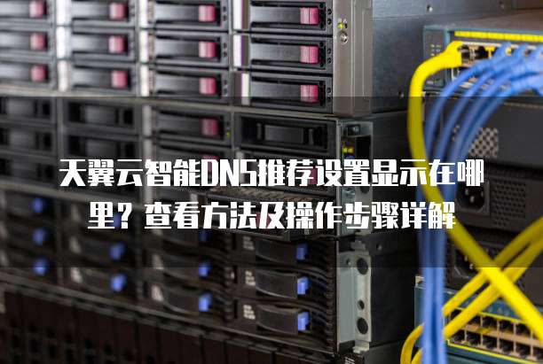 天翼云智能DNS推荐设置显示在哪里?查看方法及操作步骤详解